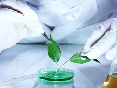 Espectrofotómetros de absoción atómica para análisis ambiental
